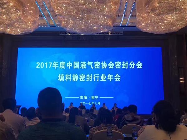 2017年度中国液气密协会密封分会填料静密封行业年会